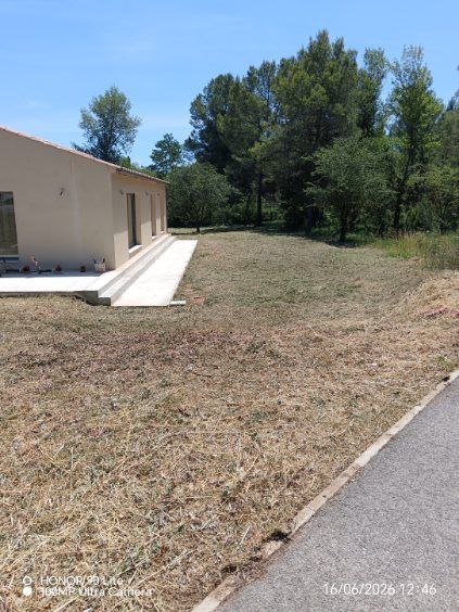 Après débroussaillage : terrain dégagé devant la maison
