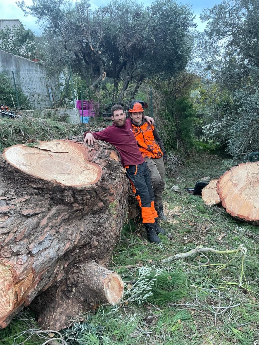 L’équipe Bûches & Nature devant un tronc de pin abattu