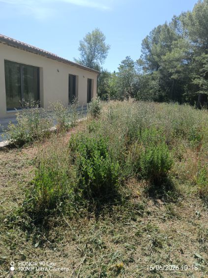 Avant débroussaillage : herbes hautes et broussailles devant la maison